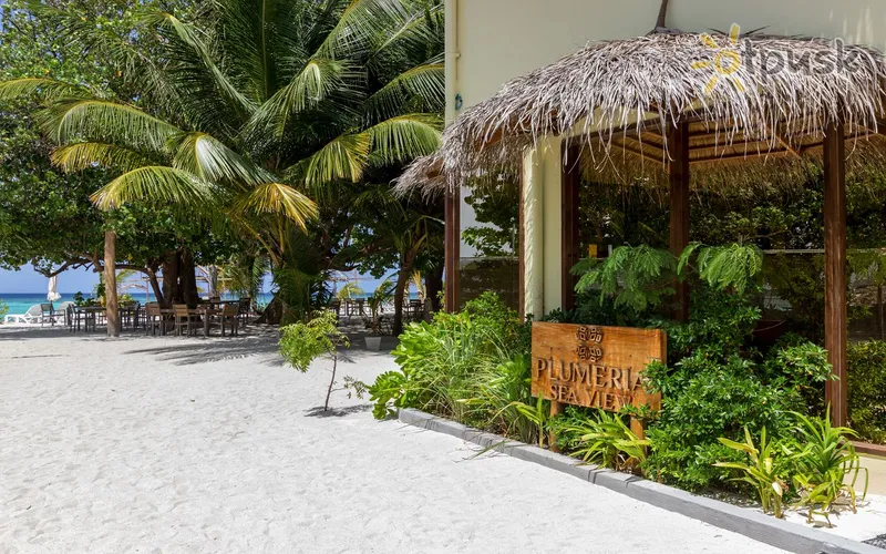Фото отеля Plumeria Boutique 4* Vāvu atols Maldīvija ārpuse un baseini