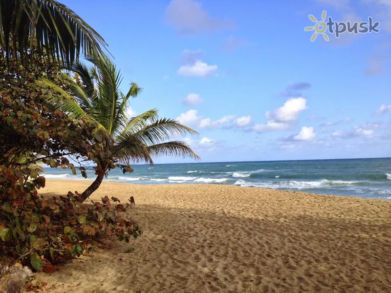 Фото отеля Natura Cabana Boutique Hotel & Spa 4* Пуерто Плата Домінікана пляж