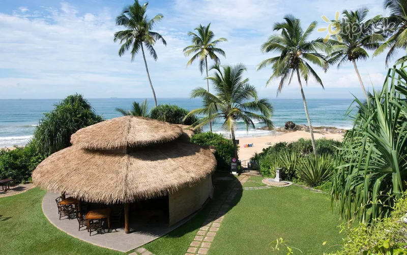 Фото отеля Taj Bentota Resort & Spa 5* Бентота Шрі Ланка пляж