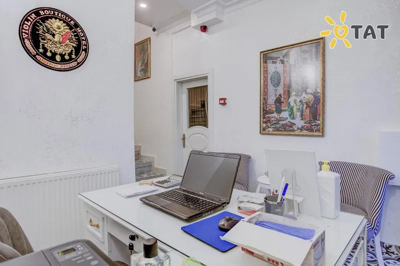 Фото отеля Violin Boutique Hotel 3* Стамбул Туреччина лобі та інтер'єр