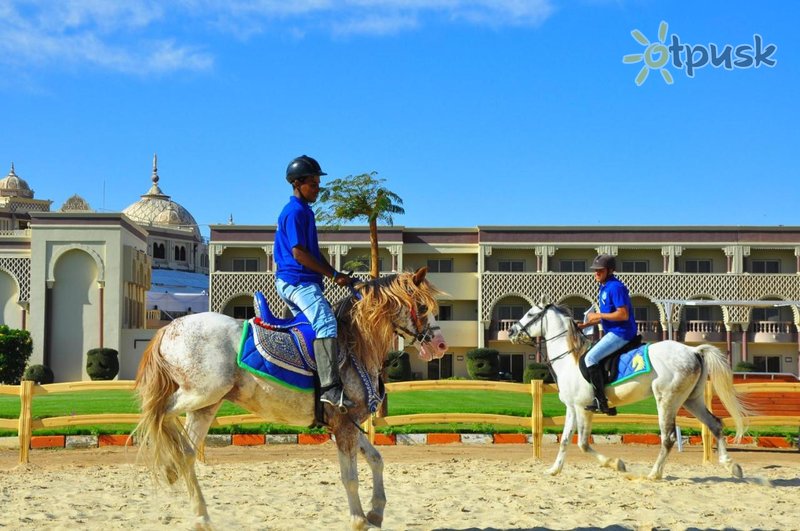 Фото отеля Sunrise Select Garden Beach Resort & Spa 5* Хургада Египет спорт и досуг
