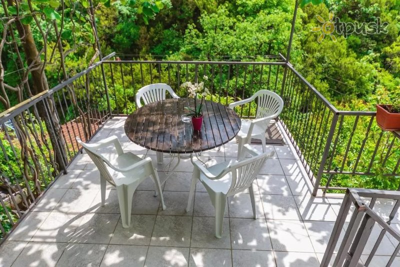 Фото отеля Popovic Apartments 3* Бечичи Черногория номера