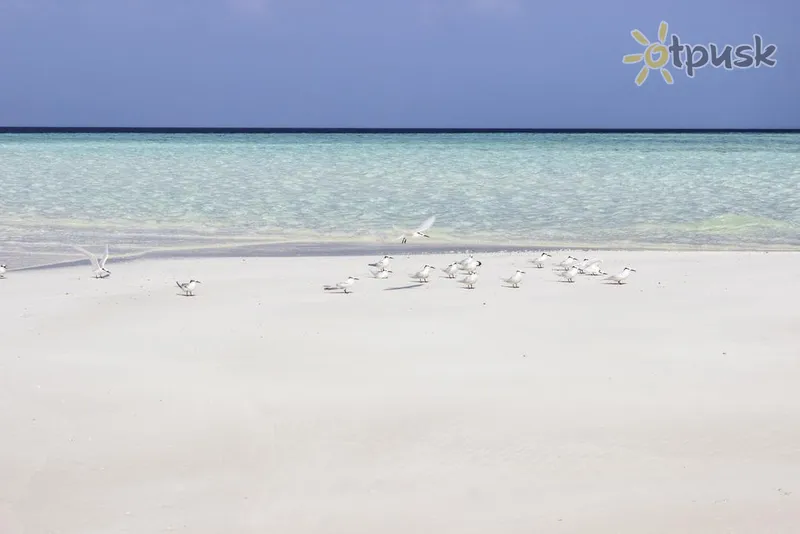 Фото отеля Holiday Cottage 3* Ари (Алифу) Атолл Мальдивы пляж