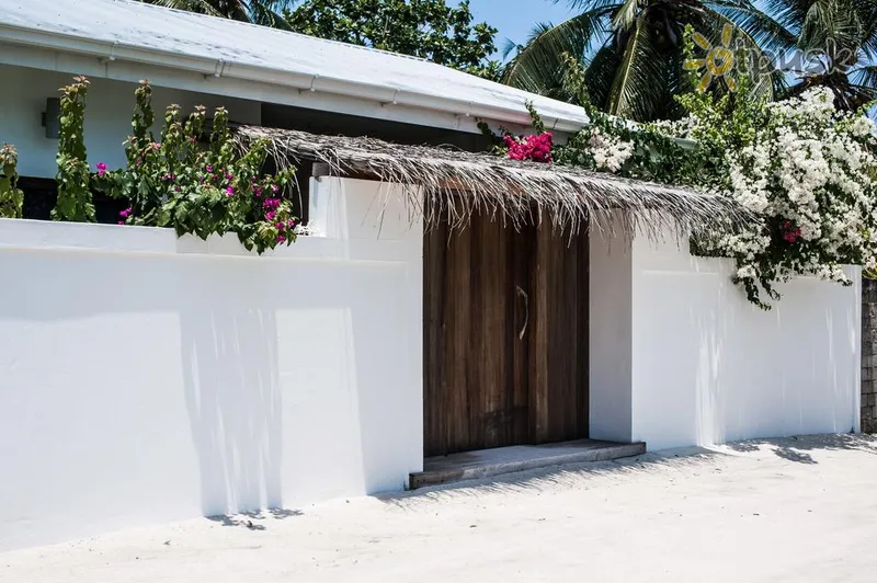 Фото отеля Holiday Cottage 3* Арі (Аліфу) Атол Мальдіви екстер'єр та басейни