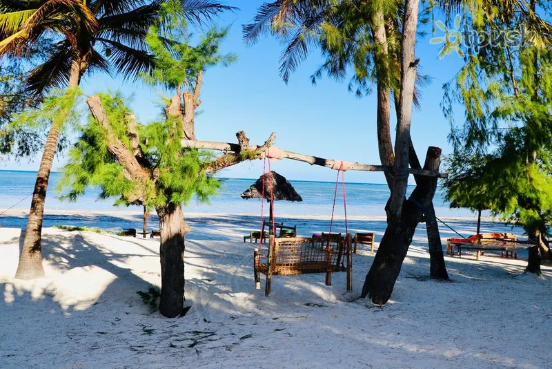 Фото отеля Evergreen Bungalows 3* Bweju Tanzānija pludmale