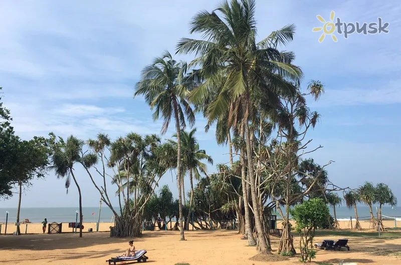 Фото отеля Hibiscus Beach Hotel 3* Калутара Шрі Ланка пляж