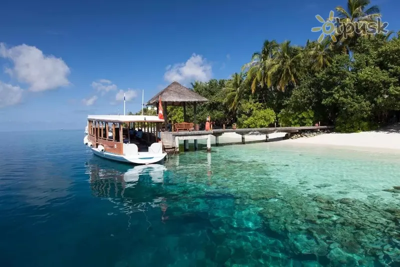 Фото отеля Vilamendhoo Island Resort & Spa 4* Ари (Алифу) Атолл Мальдивы пляж