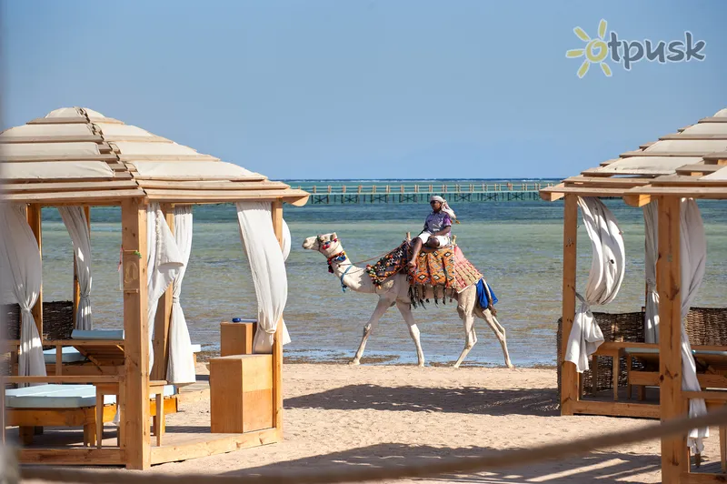 Фото отеля Amwaj Oyoun Resort & Spa 5* Šarm el Šeichas Egiptas papludimys