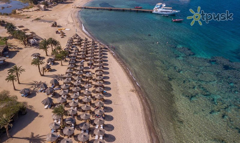 Фото отеля Utopia Beach Club 4* Марса Алам Египет пляж