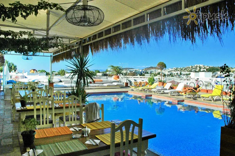 Фото отеля Sky Nova Suites Hotel - ALL Inclusive 3* Bodrumas Turkija išorė ir baseinai