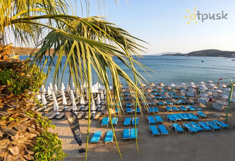 Фото отеля Gumbet Anil Beach Hotel 3* Бодрум Турция пляж