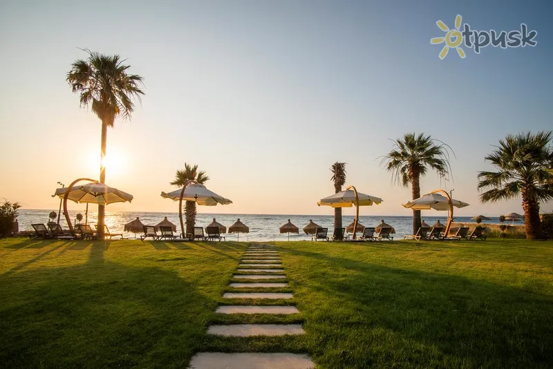 Фото отеля Maia Luxury Beach Hotel & Spa 4* Кушадаси Туреччина екстер'єр та басейни