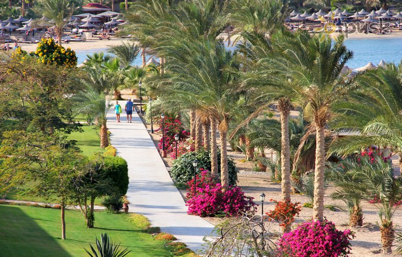 Фото отеля Royal Brayka Resort 5* Марса Алам Египет экстерьер и бассейны