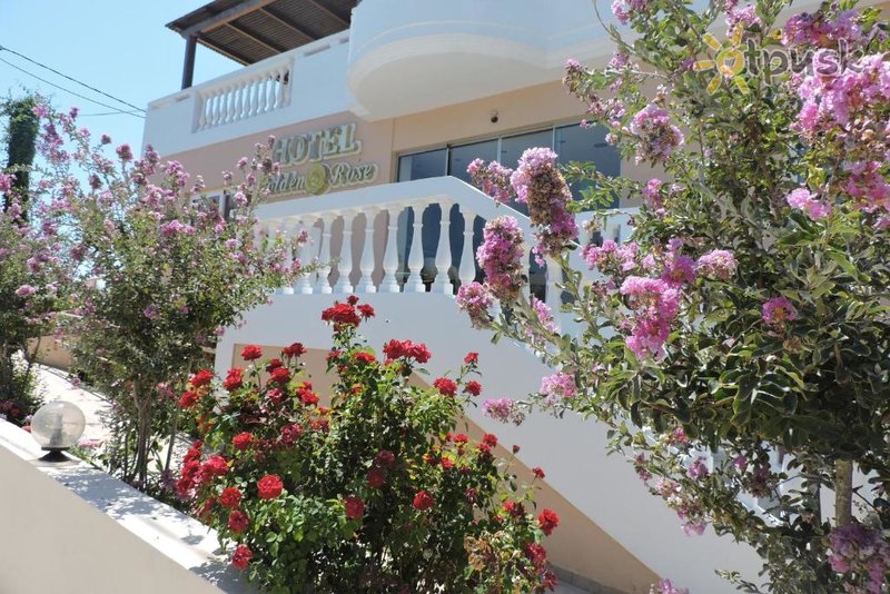 Фото отеля Golden Rose Suites 4* о. Крит – Ханья Греция прочее