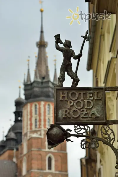 Фото отеля Pod Roza Hotel 5* Краков Польша экстерьер и бассейны