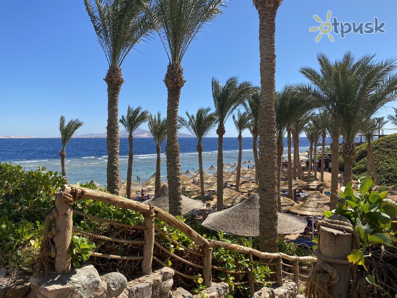 Фото отеля Nubian Island Hotel 5* Шарм эль Шейх Египет пляж