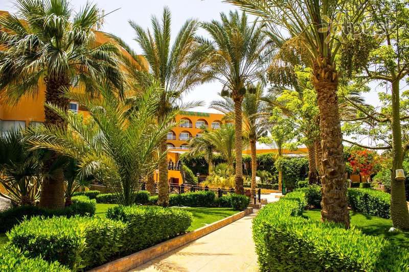 Фото отеля Golden Beach Resort 4* Хургада Египет экстерьер и бассейны