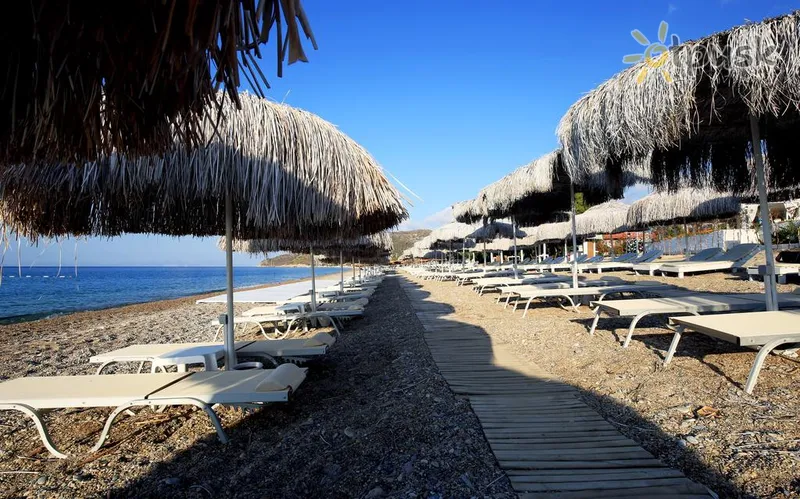 Фото отеля Mavi Beyaz 4* Мармарис Турция пляж