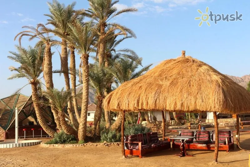 Фото отеля Nuweiba Club Resort 4* Nuveiba Egiptas papludimys
