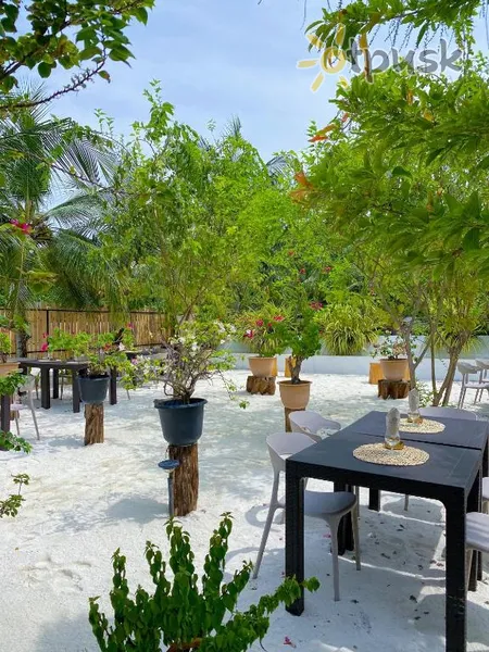 Фото отеля Tranquila Maldives 3* Ари (Алифу) Атолл Мальдивы бары и рестораны