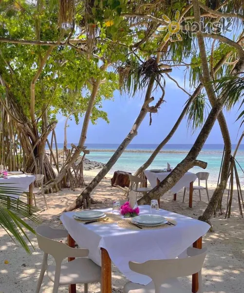 Фото отеля Tranquila Maldives 3* Ari (Alifu) atols Maldīvija bāri un restorāni