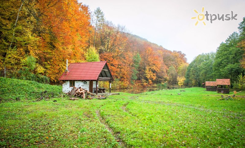 Фото отеля Богольвар 4* Закарпатье Украина - Карпаты экстерьер и бассейны