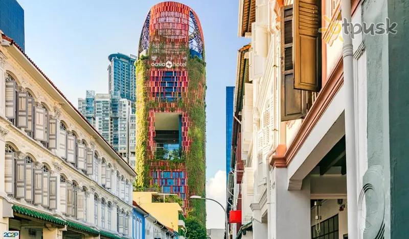 Фото отеля Oasia Downtown Hotel 4* Сингапур Сингапур экстерьер и бассейны