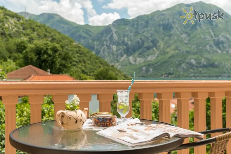 Фото отеля Stella del Mare Apartments 4* Рисан Черногория бары и рестораны