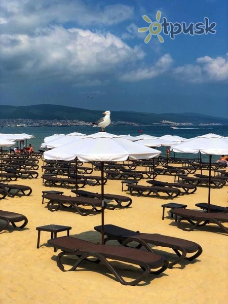 Фото отеля Flamingo Beach Hotel 3* Солнечный берег Болгария пляж