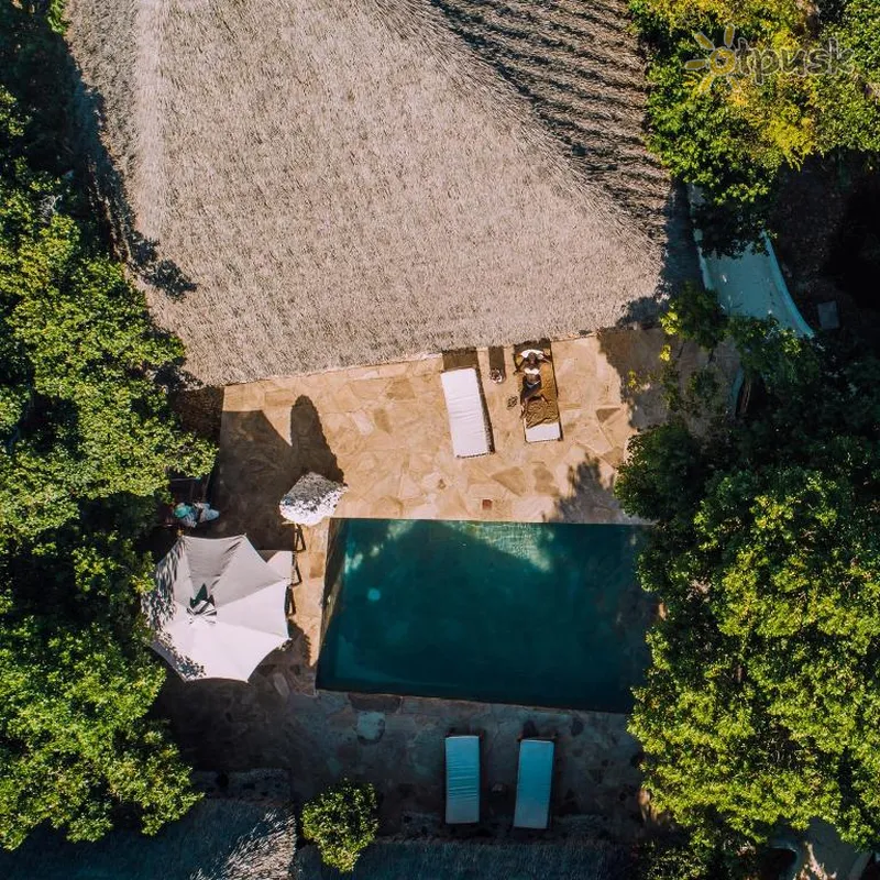 Фото отеля The Island Pongwe Lodge 4* Pongwe Tanzānija ārpuse un baseini