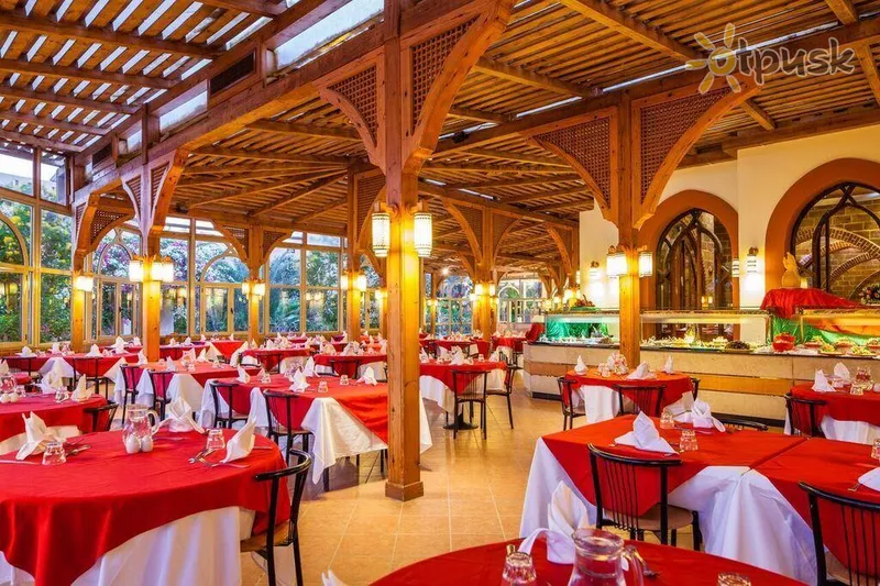 Фото отеля Dream Lagoon Aqua Park & ​​Resort 5* Марса Алам Єгипет бари та ресторани