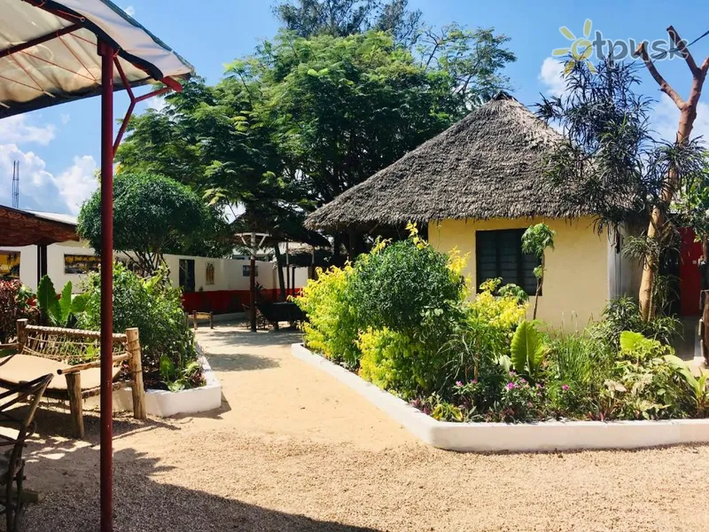 Фото отеля Cocoa Guest House 2* Nungvi Tanzānija ārpuse un baseini