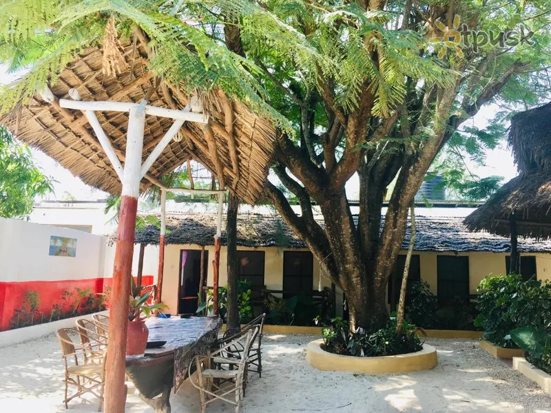 Фото отеля Cocoa Guest House 2* Nungvi Tanzānija bāri un restorāni