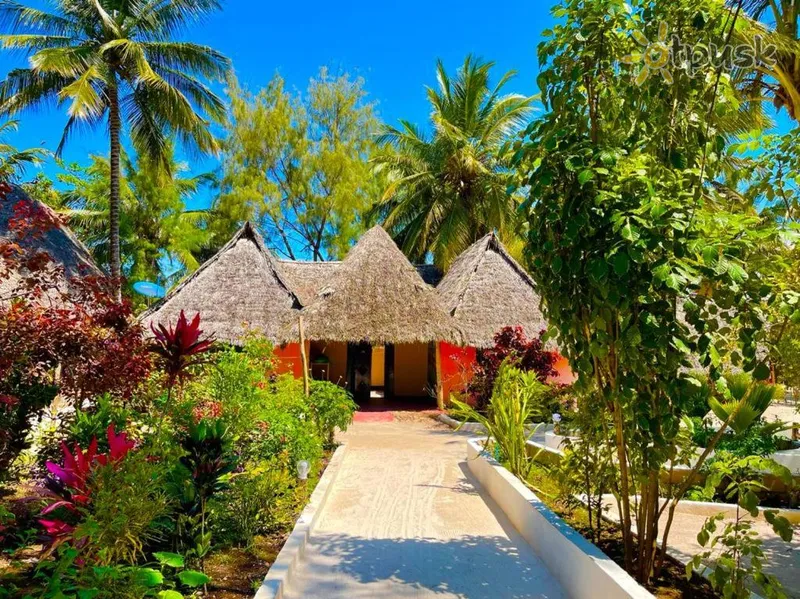 Фото отеля Milele Lodge 2* Michamvi Tanzānija ārpuse un baseini