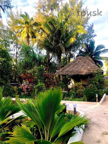 Фото отеля Milele Lodge 2* Michamvi Tanzānija ārpuse un baseini