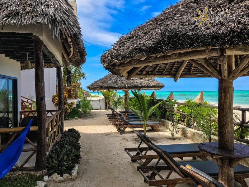Фото отеля Jambiani White Sands Zanzibar 3* Джамбиани Танзания прочее