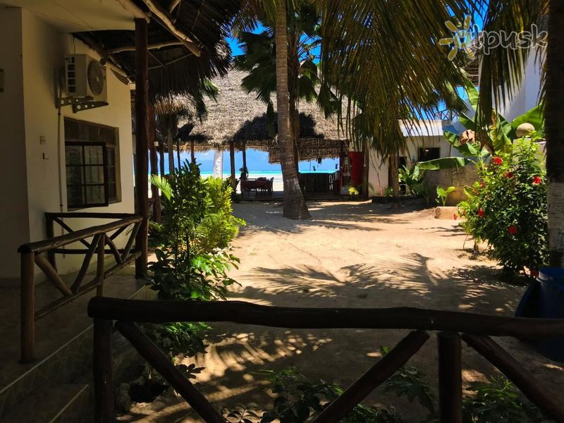 Фото отеля Jambiani White Sands Zanzibar 3* Джамбиани Танзания прочее