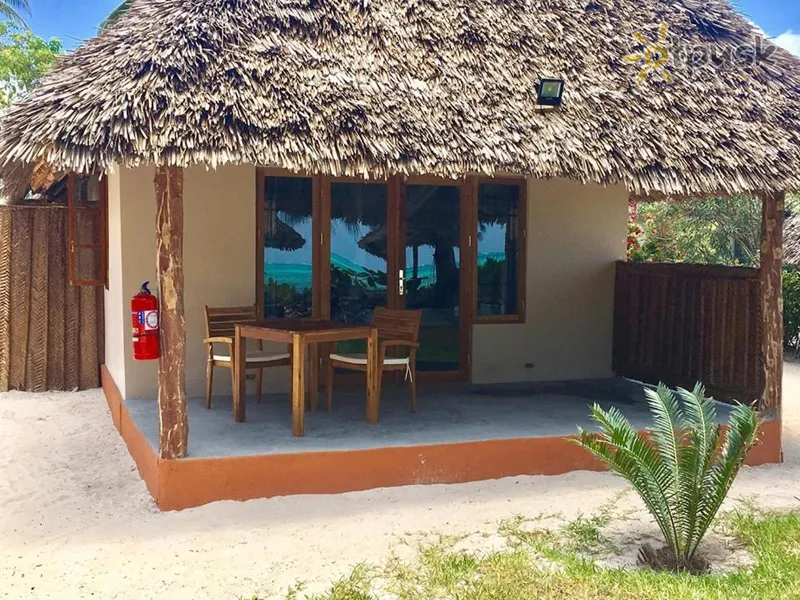 Фото отеля Driftwood Beach Lodge 3* Джамбиани Танзания прочее
