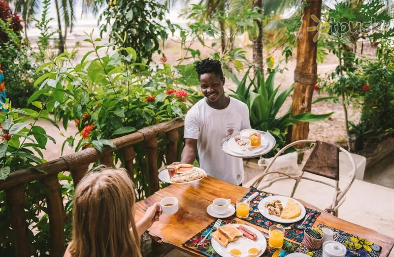 Фото отеля Shanuo Beach Bungalows 2* Michamvi Tanzānija bāri un restorāni