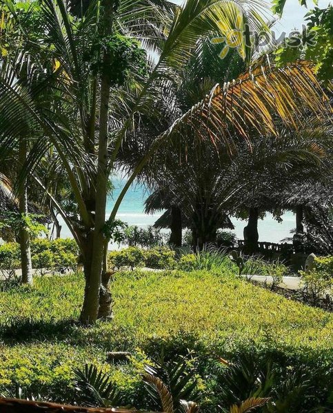 Фото отеля Bella Vista Resort Zanzibar 3* Кизимкази Танзания прочее