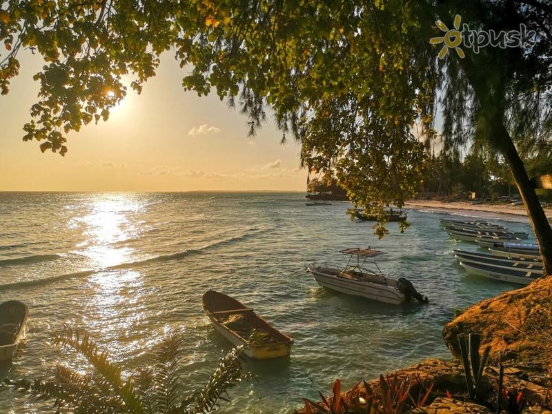 Фото отеля Bella Vista Resort Zanzibar 3* Кизимкази Танзания прочее