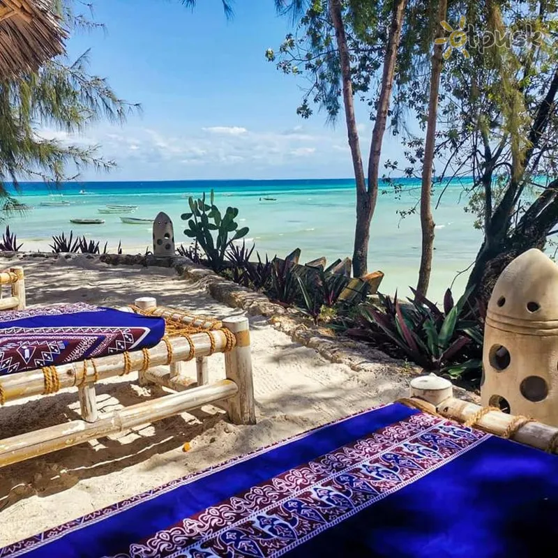Фото отеля Bella Vista Resort Zanzibar 3* Kizimkazi Tanzanija kita