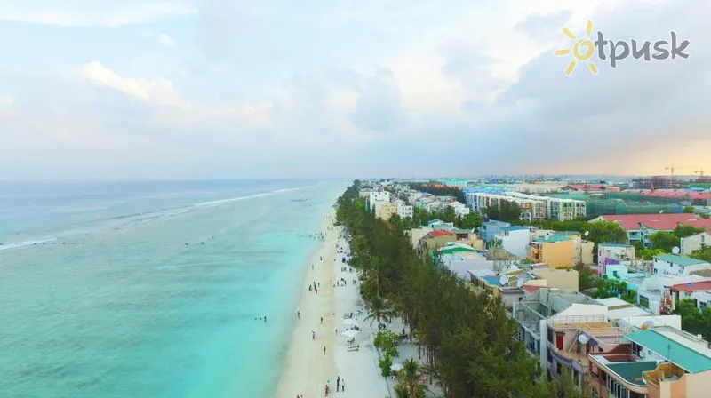 Фото отеля Planktons Beach 3* Северный Мале Атолл Мальдивы экстерьер и бассейны