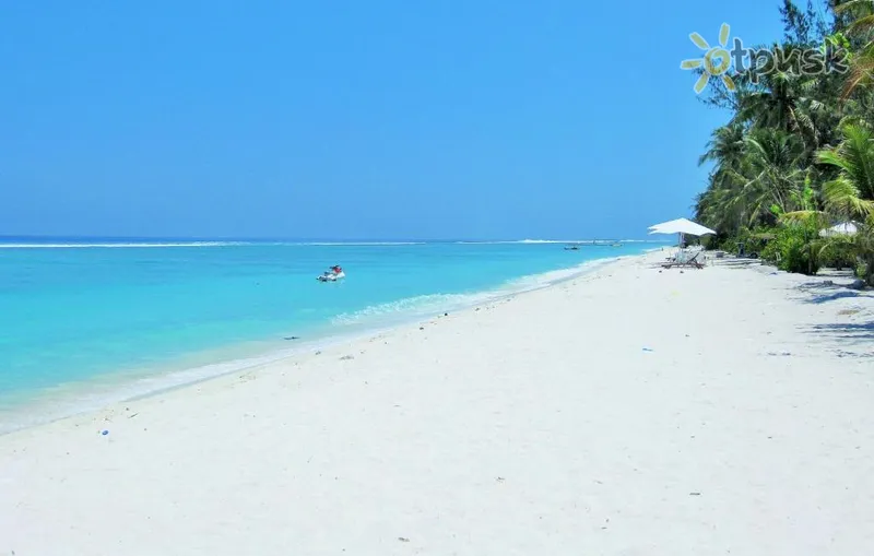Фото отеля Planktons Beach 3* Ziemeļu Males atols Maldīvija pludmale