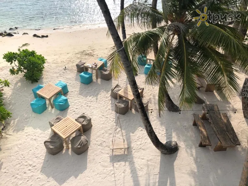 Фото отеля Canopus Retreat Thulusdhoo 3* Северный Мале Атолл Мальдивы пляж