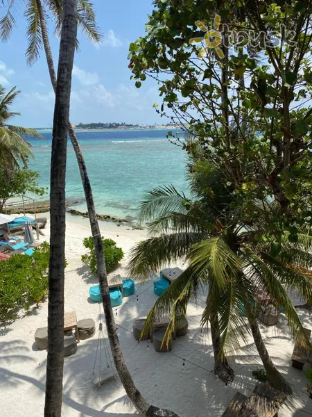 Фото отеля Canopus Retreat Thulusdhoo 3* Північний Мале Атол Мальдіви пляж