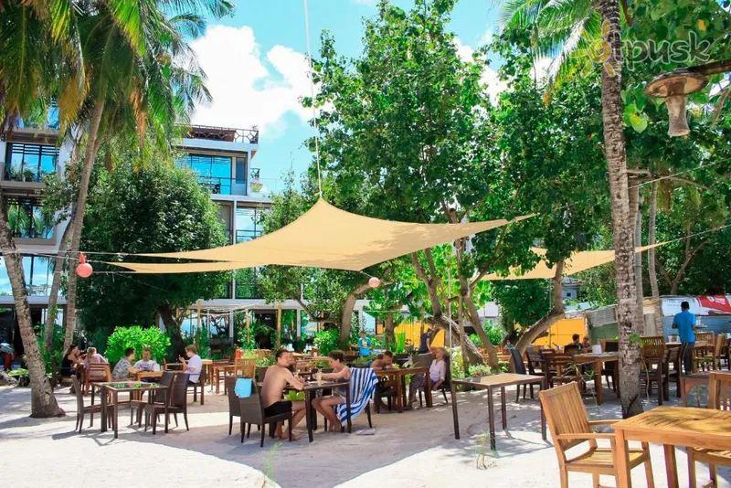 Фото отеля Seashore Beach Inn 3* Южный Мале Атолл Мальдивы бары и рестораны