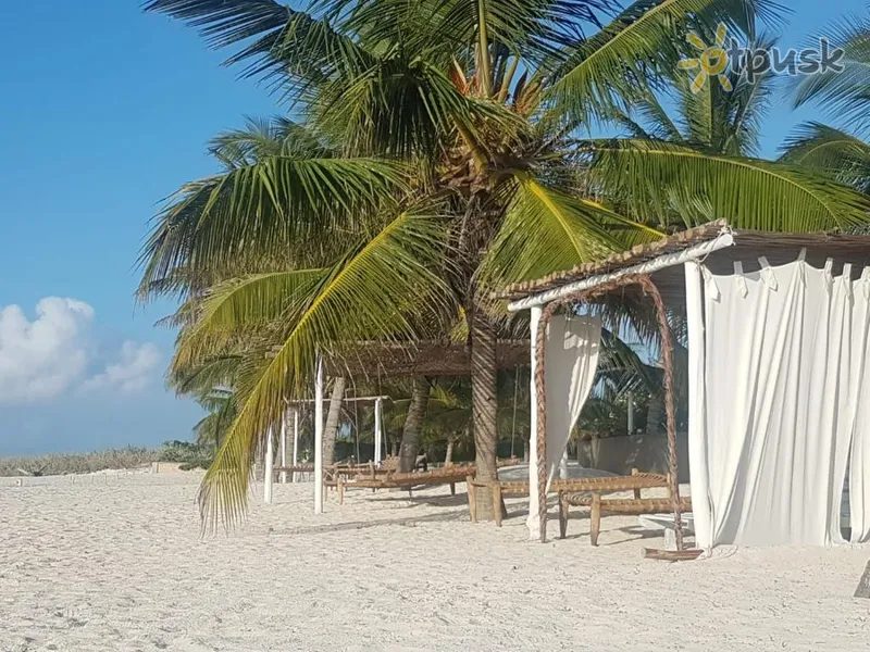Фото отеля Life Resort St. Thomas Royal Palm 5* Малинди Кения пляж