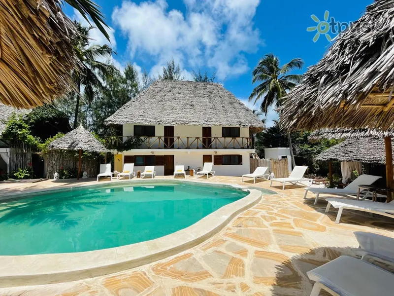 Фото отеля Oleza Boutique Hotel Zanzibar 3* Michamvi Tanzānija ārpuse un baseini