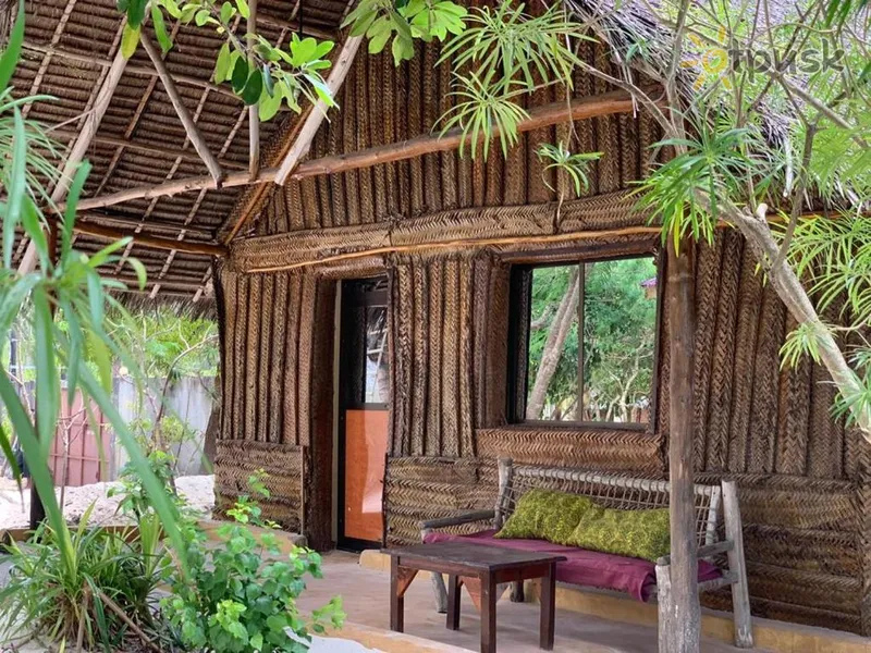 Фото отеля Summer Dream Lodge 3* Паже Танзанія екстер'єр та басейни